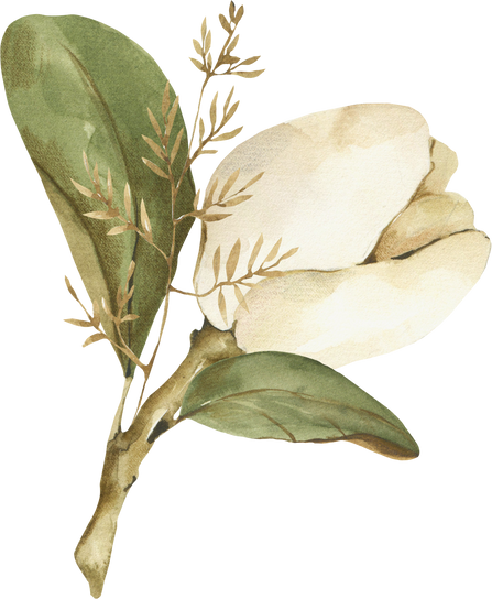 watercolor magnolia flower clipart. Floral bouquet